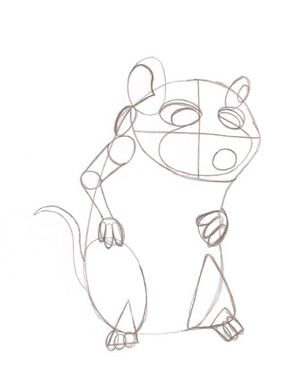 Ratte Zeichnen Einfach