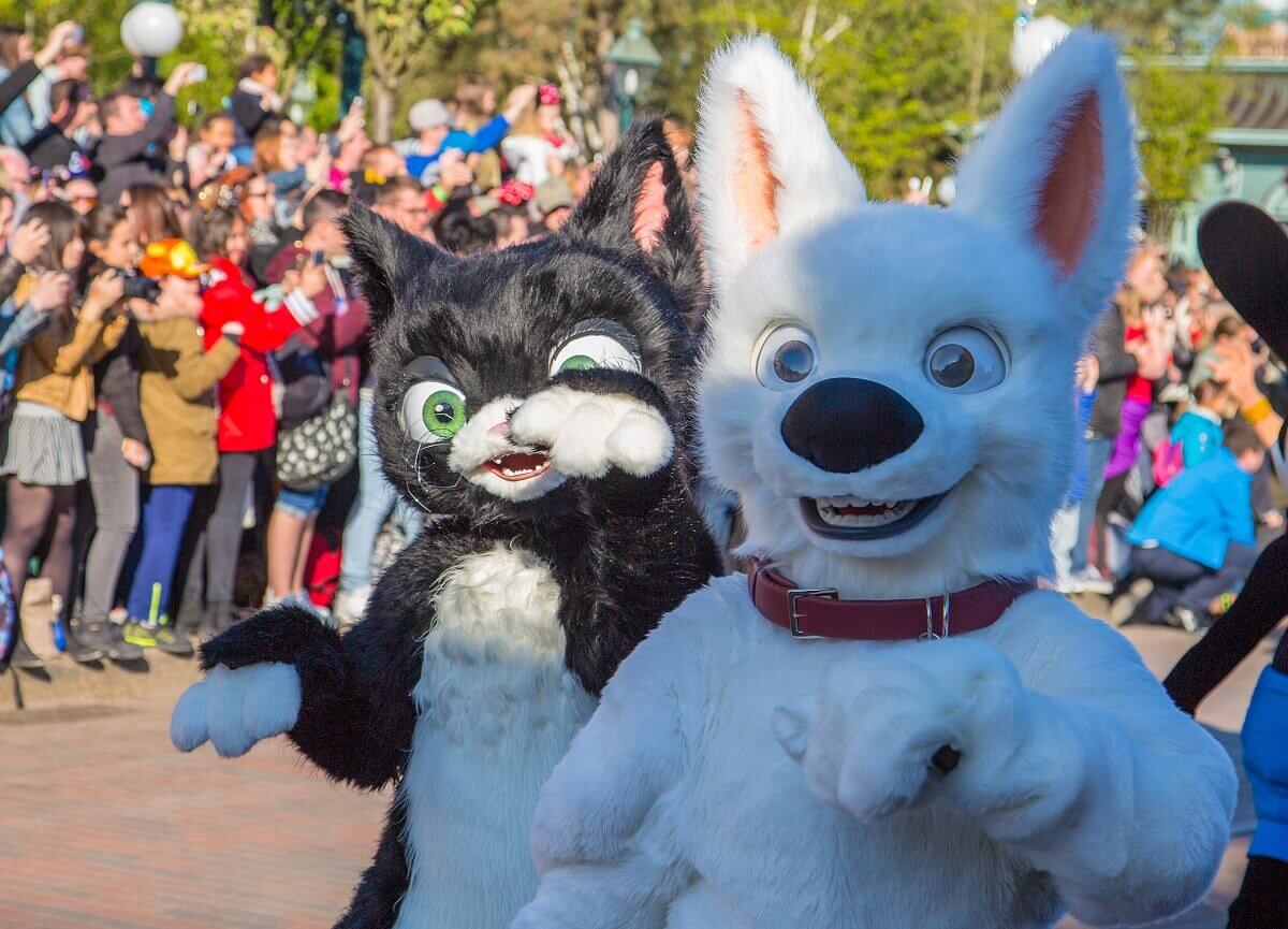 hund Bolt und Katze Mittens ziehen beim Jubiläumsumzug gemeinsam über die Main Street, U.S.A.