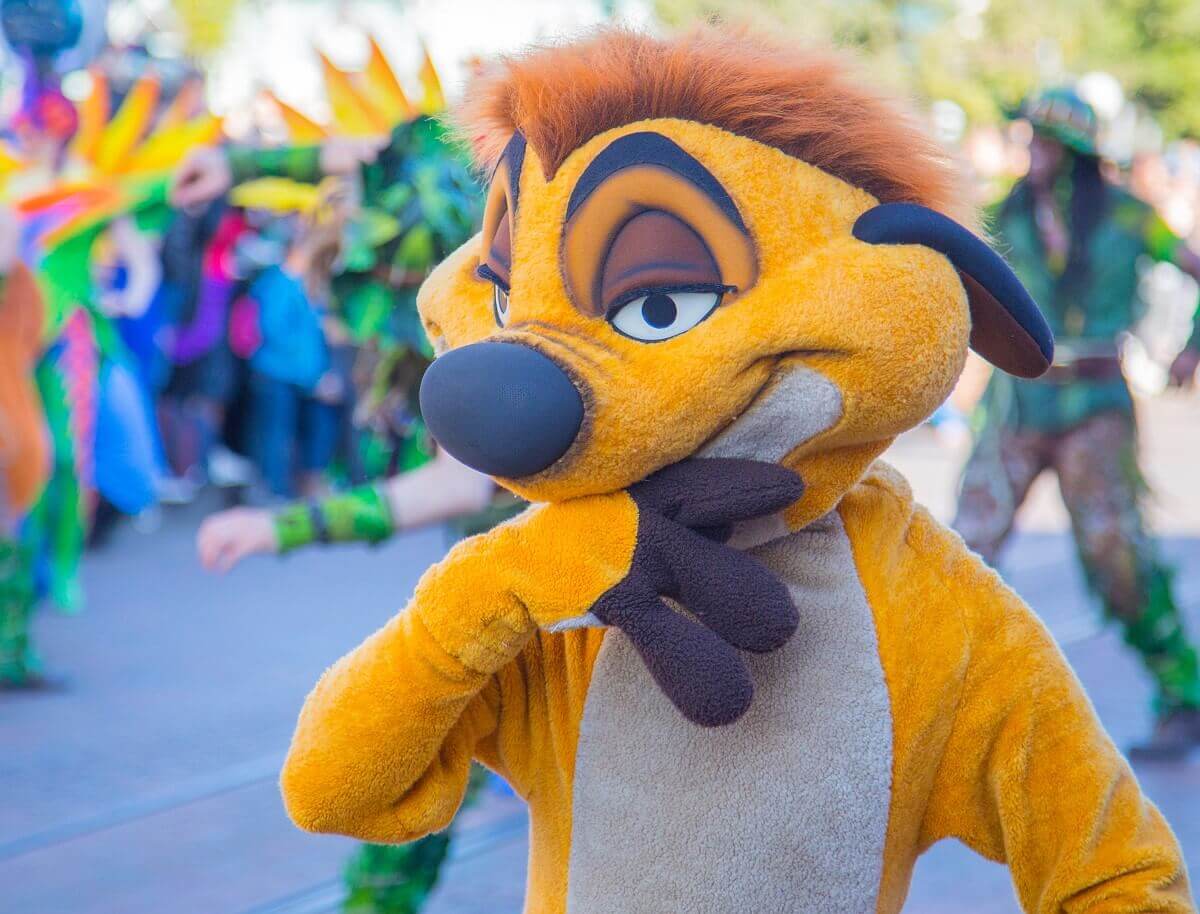 Nahaufnahme von Erdmännchen Timon, das seine Pfote ins Maul gesteckt hat 