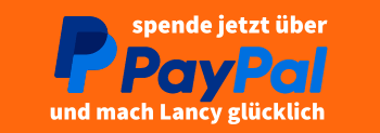 PayPal Logo: Spende jetzt über PayPal und mach Lancy glücklich