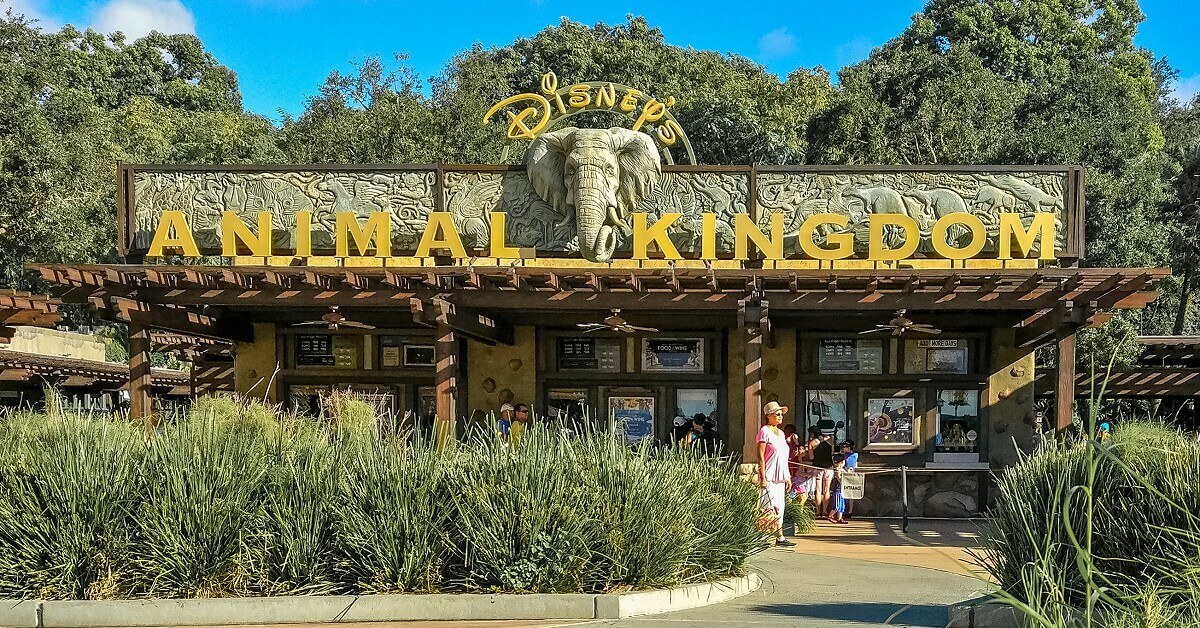 Eingang zum Animal Kingdom in Walt Disney World