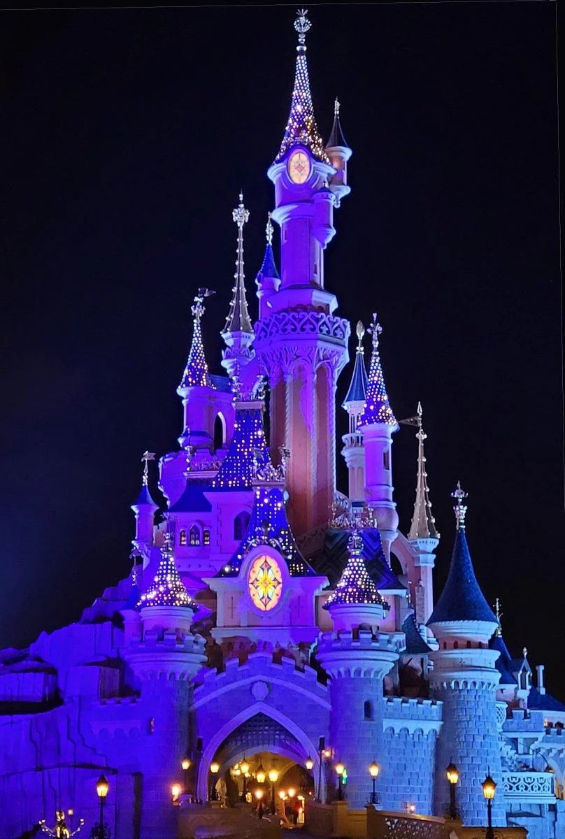 Sleeping Beauty Castle