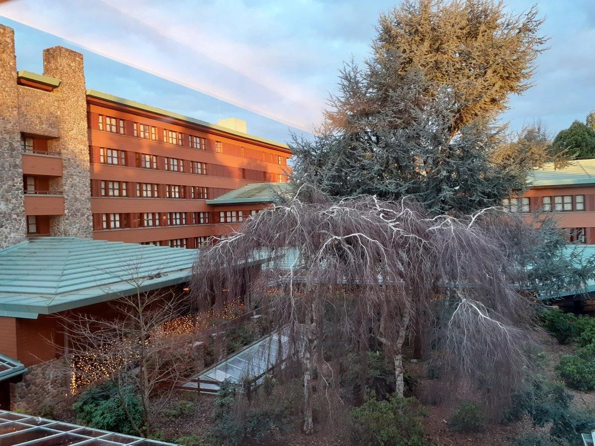 20221231_090311.jpg