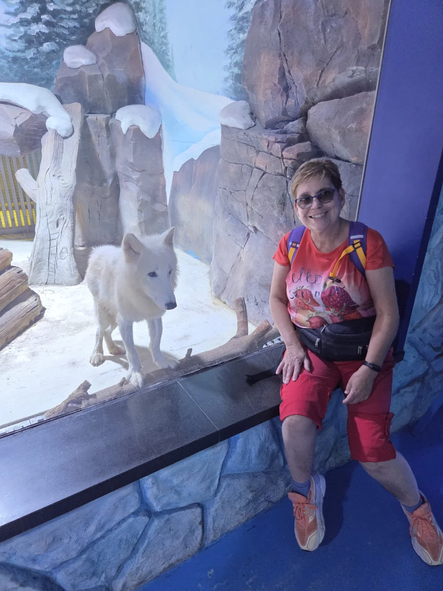 43490.webp