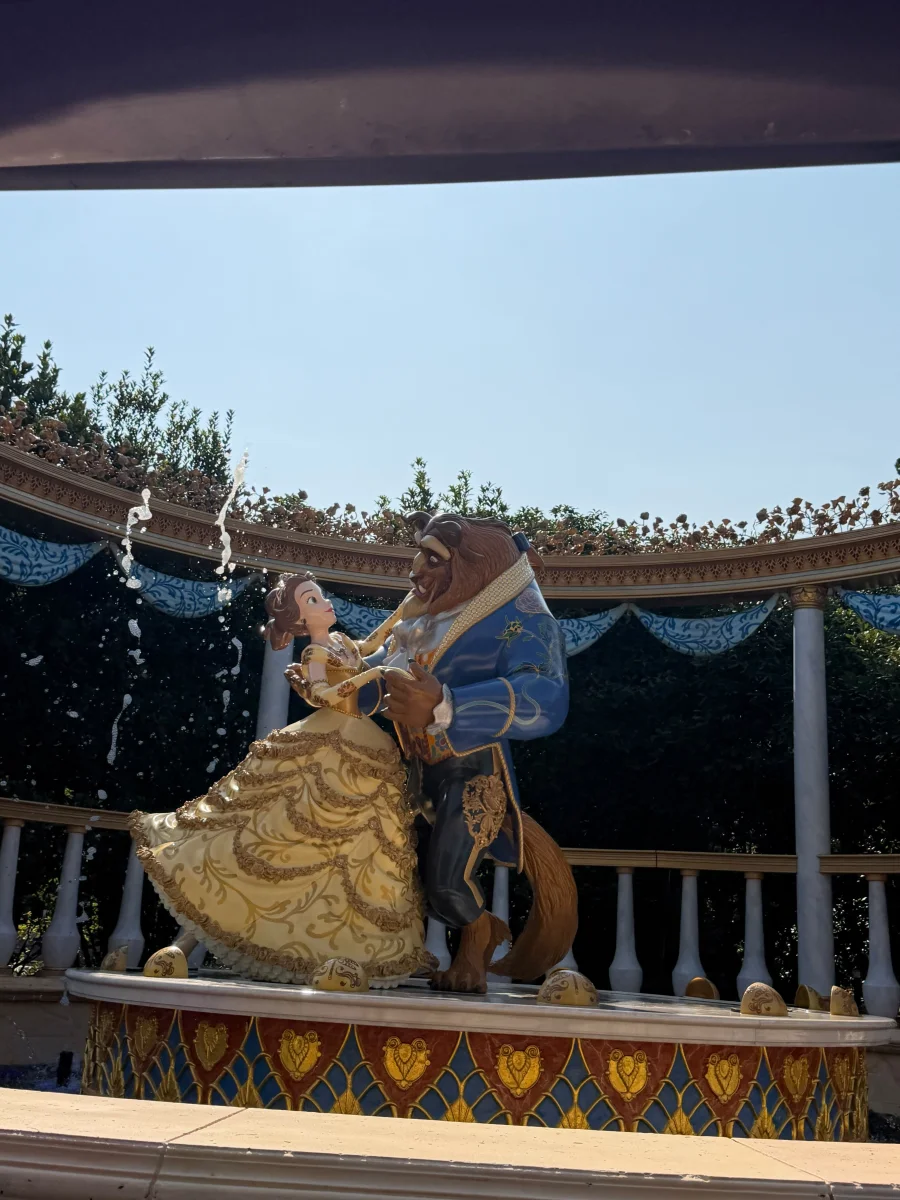 44781.webp