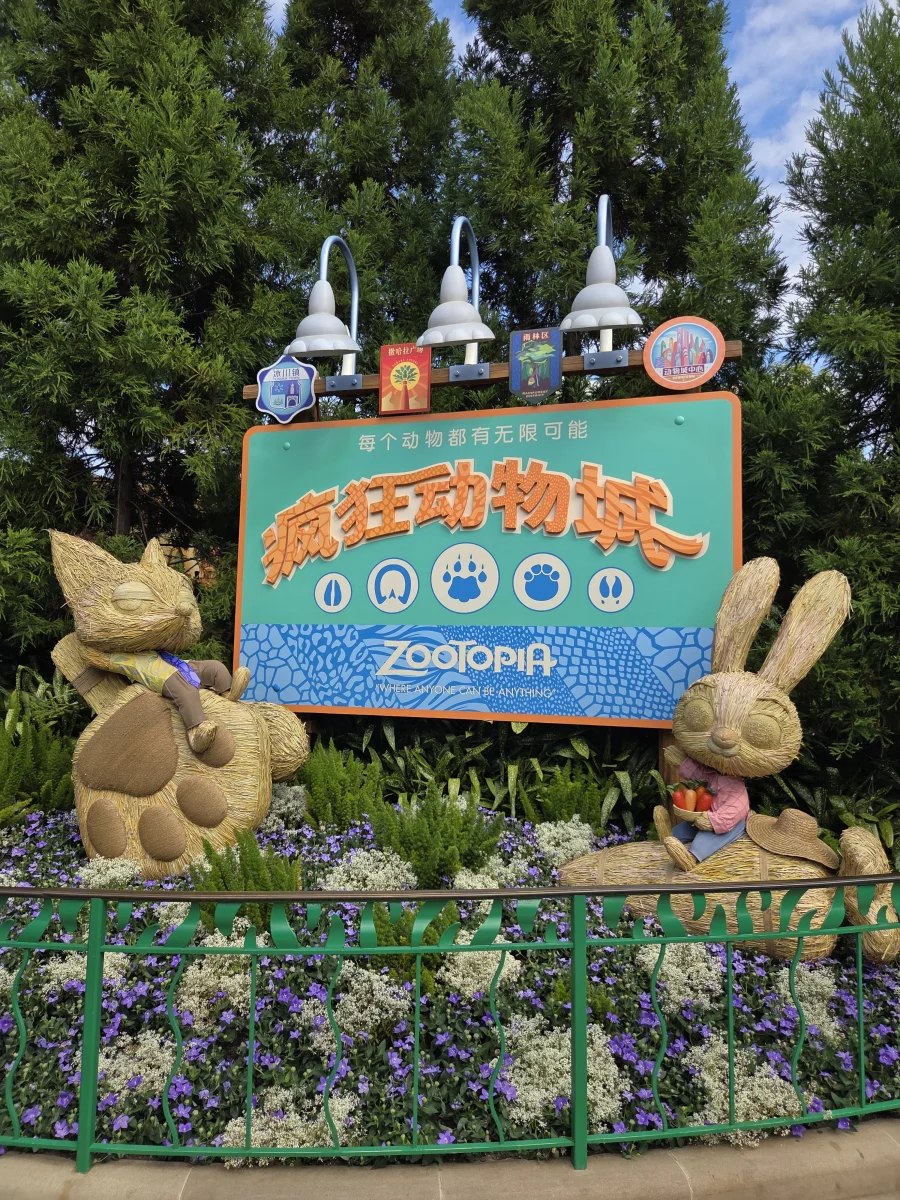 45117.webp