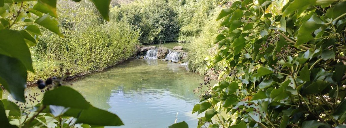 IMG20220411115515.jpg