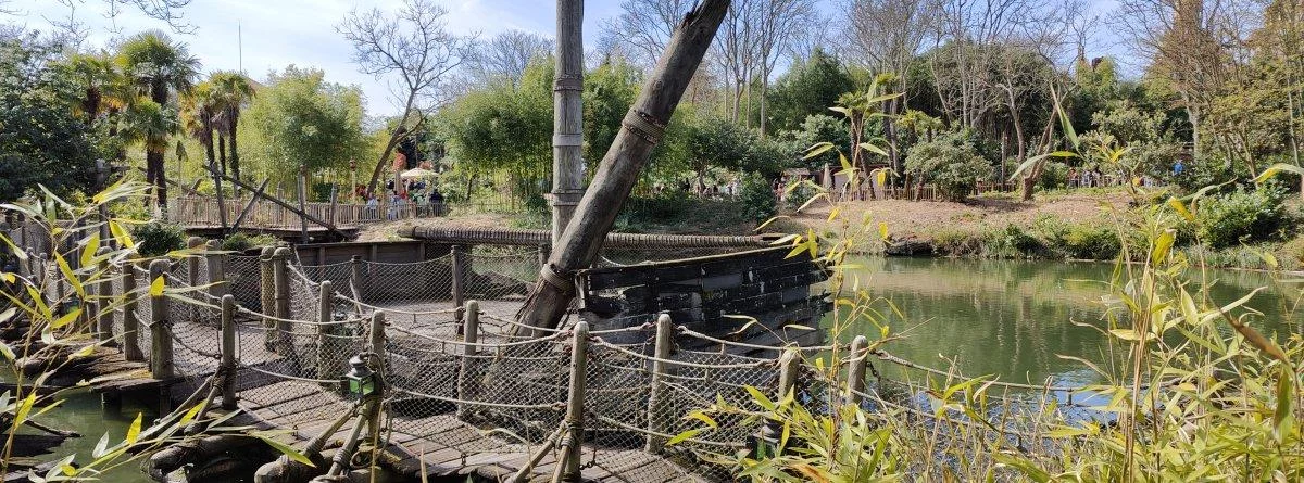 IMG20220411115610.jpg