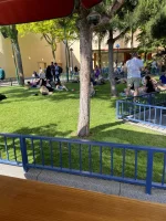 IMG_8219.jpeg