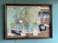 IMG_8234.jpeg