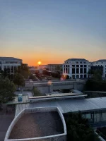 IMG_8374.jpeg