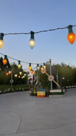 IMG_8833.jpeg