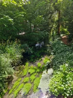 IMG-20250524-WA0038.webp