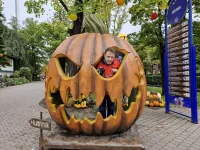 IMG-20250923-WA0014.webp