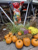 IMG-20250923-WA0017.webp