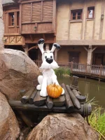 IMG_20251004_104439281.webp