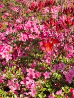 20260329_110934.webp