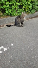 20260902_174435.webp