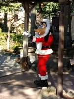 20211123_122628.webp
