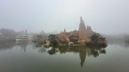 20251211_094229.webp