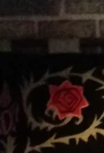 image.webp