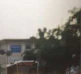image.jpeg