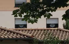 image.jpeg