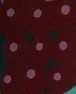 dlrp.webp