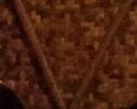 unbenannt2.webp