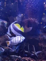 IMG-20191202-WA0025.webp