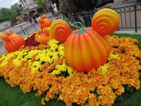 IMG_4236.webp