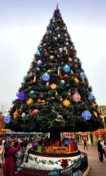 20221121_103331.webp