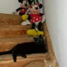 mickymauserl