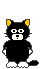 :cat